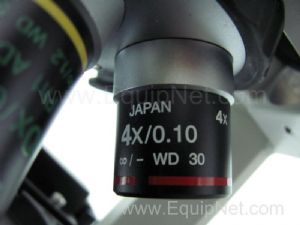 Microscópio Nikon Eclipse TS100