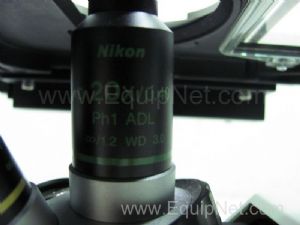 Microscópio Nikon Eclipse TS100