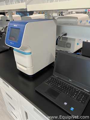 Lote de 2 PCR y Termociclador Applied Biosystems StepOnePlus