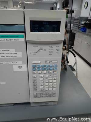 Agilent 6890N Network Gas Chromatograph with G1888 Network Headspace Autosampler