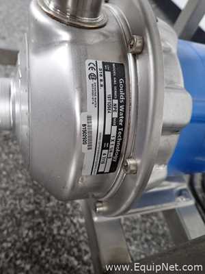 Bomba Centrífuga Goulds Water Technology NPE