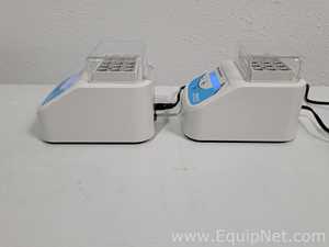 Baño Seco / Bloque Caliente Benchmark  Lot of 2 BSH200