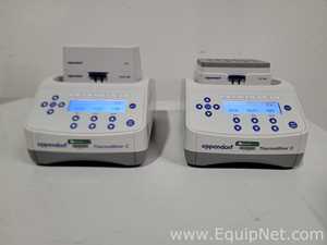 lote de  2 Misturador para Laboratórios Eppendorf 5382