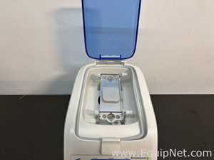 Homogeneizador Benchmark  D1036 BeadBug 6
