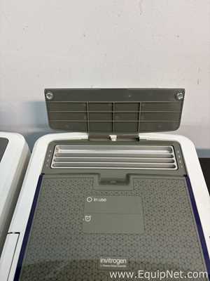 lote de  3 Sistema de Eletroforese Invitrogen Ibind Flex