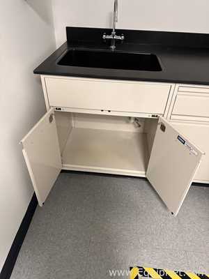 Lab Counter with Sink