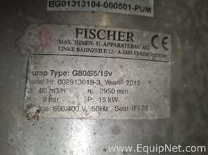 Pasteurizador Fischer Requisitos de aire 337 L
