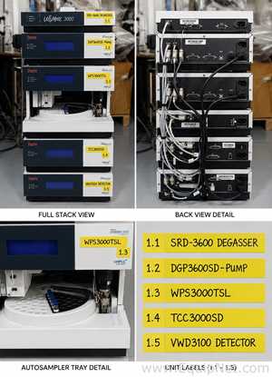 Equipamento Analíticos Thermo Scientific UltiMate 3000
