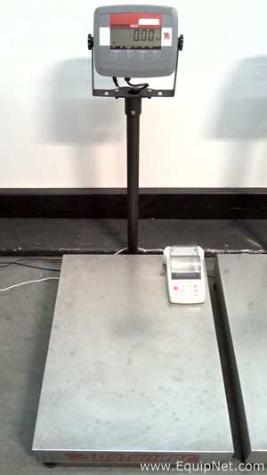 Lot of 3 OHAUS Corporation Defender 3000 Stainless Steel Floor Scales with OHAUS SF40A Printers