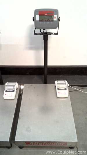Lot of 3 OHAUS Corporation Defender 3000 Stainless Steel Floor Scales with OHAUS SF40A Printers