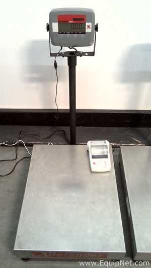 Lot of 3 OHAUS Corporation Defender 3000 Stainless Steel Floor Scales with OHAUS SF40A Printers