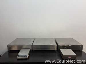 Lot of 5 Balances
