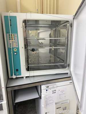 Incubadora Heraeus BBD6220