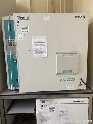Incubadora Heraeus BBD6220