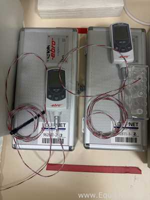 Lote de 2 Termómetro ebro TFX 430