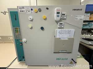 Incubadora Themo Scientific BBD6220