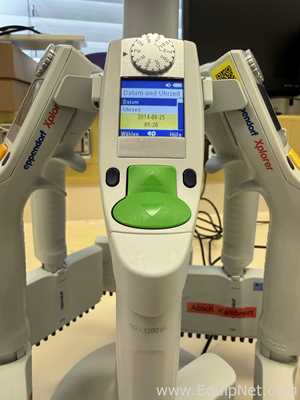 Lote de 12 Pipeteador Eppendorf Xplorer