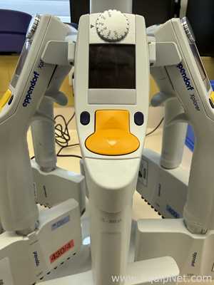 Lote de 12 Pipeteador Eppendorf Xplorer