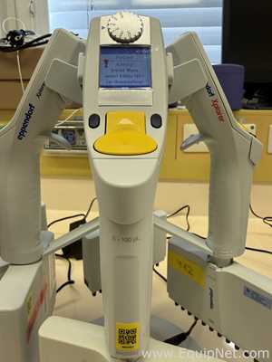 Lote de 12 Pipeteador Eppendorf Xplorer