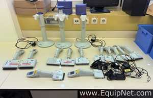 Lote de 12 Pipeteador Eppendorf Xplorer