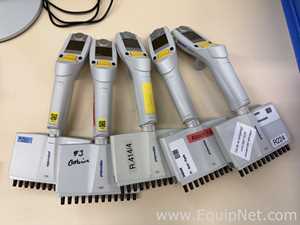 Lote de 12 Pipeteador Eppendorf Xplorer