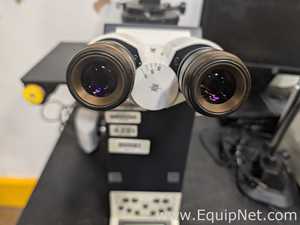 Leica DMI6000 B Automated Inverted Research Microscope