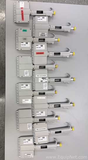 Lote de 11 Pipeteador Thermo Scientific Finnpipette