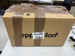 Lote de 11 Pipeteador Thermo Scientific Finnpipette
