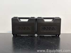 Lot of 2 Hanna Instruments HI 99161 pH Meters