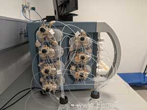 Cromatografia Pall Life Sciences Resolute BioSMB PD LD100