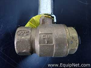 Lote de 16 Válvula Apollo Valve 