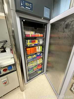 Frimed SRL AF70B-P 700 Litre -20 C Upright Laboratory Freezer