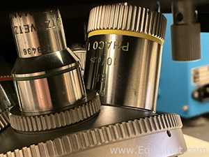 Microscópio Leitz Fluovert FS