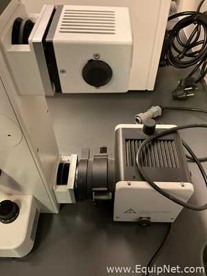 Microscópio Leitz Fluovert FS