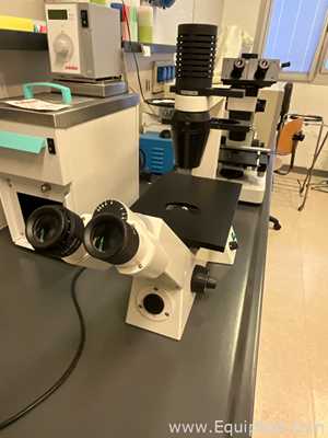 Zeiss Axiovert 25 Microscope