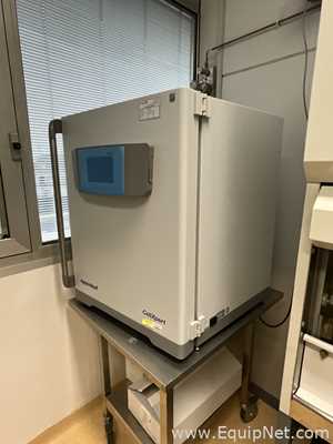 Incubadora Eppendorf CellXpert C170i.  170 Litros