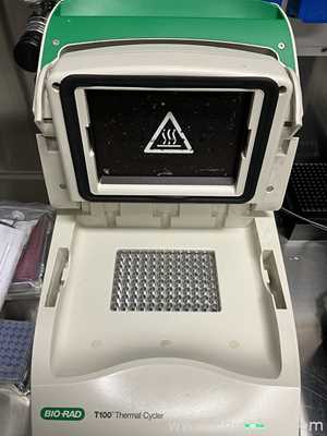 PCR e Termociclador Bio Rad T100