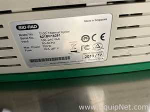 PCR e Termociclador Bio Rad T100