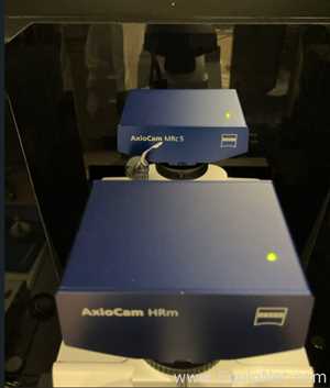 Microscopio Zeiss Inc. AXIO