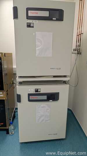 Incubadora Thermo Scientific HERAcell Vios 250i