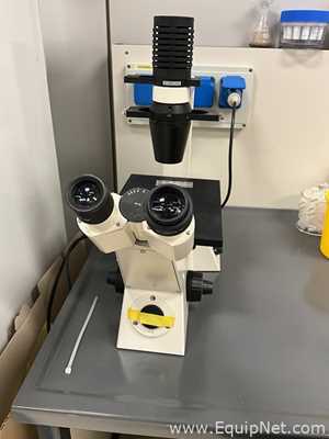 Zeiss Axiovert 25 Microscope