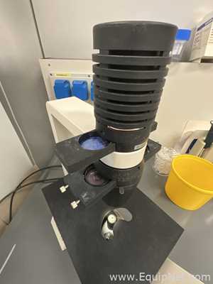 Zeiss Axiovert 25 Microscope