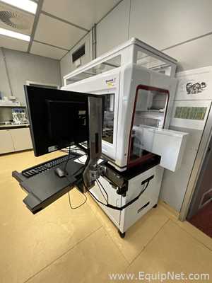Beckman Coulter Biomek i7 Dual Multi Channel with Enclosure Liquid Handler