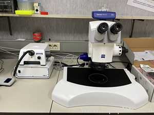 Carl Zeiss SteREO Discovery.V12 Stereo Microscope with Axiocom 208 Color USB Camera