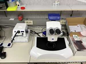 Carl Zeiss SteREO Discovery.V12 Stereo Microscope with Axiocom 208 Color USB Camera