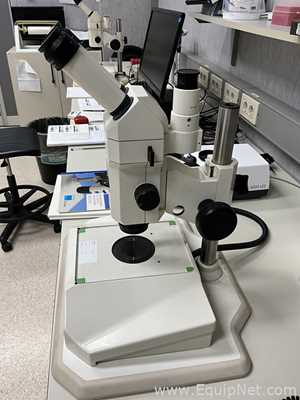 Carl Zeiss Stemi SV11 Stereo Microscope with CL 6000 LED Light Source