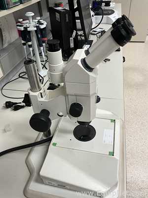 Carl Zeiss Stemi SV11 Stereo Microscope with CL 6000 LED Light Source