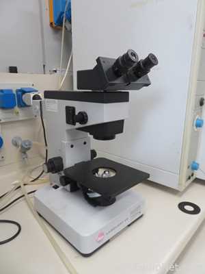Microscópio Leitz Labovert FS