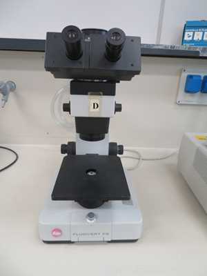 Microscópio Leitz Labovert FS