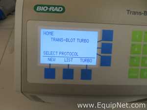 Lot of 2 Bio Rad Trans Blot Turbo Electrophoresis Systems
